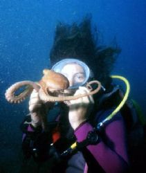 octopus by Sergio Loppel 